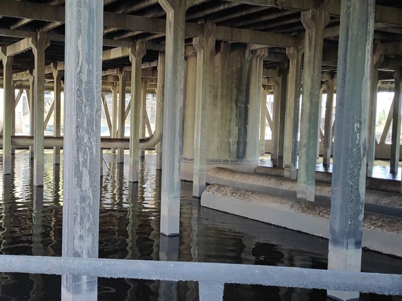 內蒙古某能源有限公司